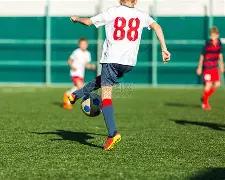 职场必备,揭秘财务报,表中的,乐竞体育官网,LEJIN,Sports,足球直播,篮球赛事,体育高清,NBA直播