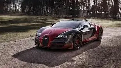 《2026贺岁档》萌宠冒险电影《营救汪星人》定档成毅主演