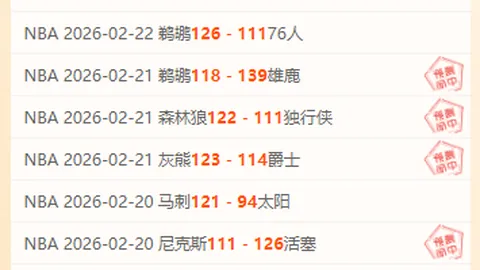 “NBA常规赛：黄蜂败给猛龙”